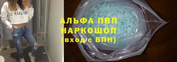 сатива Бронницы
