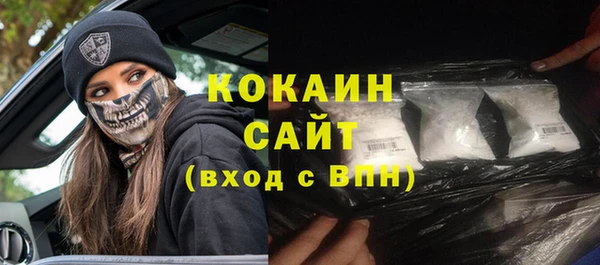 сатива Бронницы