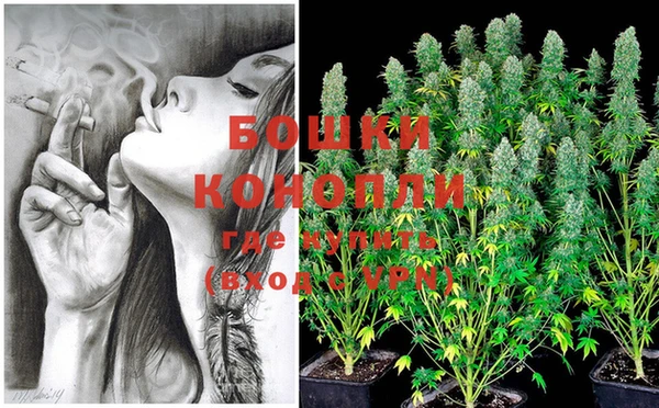 сатива Бронницы